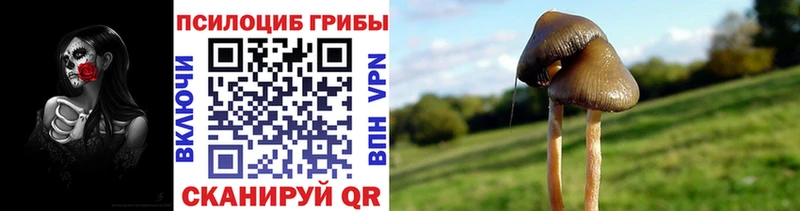 Галлюциногенные грибы MAGIC MUSHROOMS  наркошоп  Солнечногорск 